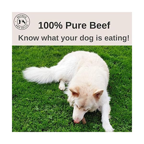 Bounce-and-Bella-Natural-Dog-Chews--100-Pure-Beef-Air-Dried-Treats-for-Dogs--Just-One-Ingredient-Deliciously-Healthy-Crunchy-Dog-Chew-for-your-Dog-or-Puppy-100g-per-pack Bounce and Bella Natural Dog Chews – 100% Pure Beef Air-Dried Treats – Natural Dog Treats Just One Ingredient…