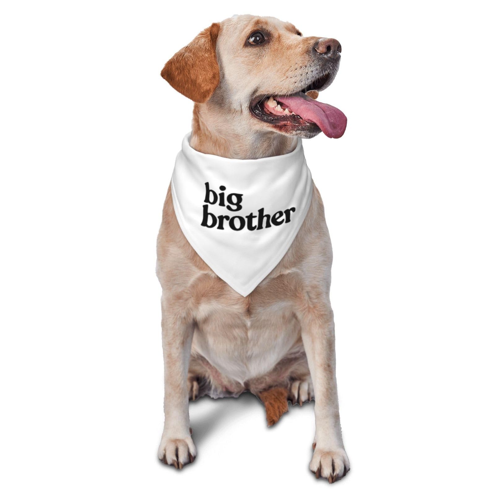 Photo 1 of vercosee Big Brother Dog Bandana Gender Reveal Dog Bandana Reversible,Baby Announcement Dog,Gift for Dog Lover Owner (White)