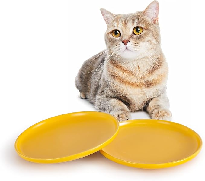 SIDUCAL 8 Inch Wide Shallow Ceramic Cat Dish, Pack of 2, HighCapacity
