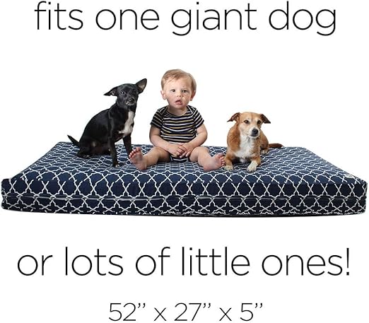 baby mattress used as dog bed