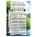 Forgive them Anyway, Be Kind Anyway, Succeed Anyway. Motivational Quote Poster for Office Staff College Athletes Teams School Classrooms and Home - 13x19 in Inspirational Paper Poster Made in the USA