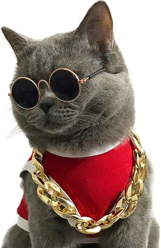 cat collar gold chain