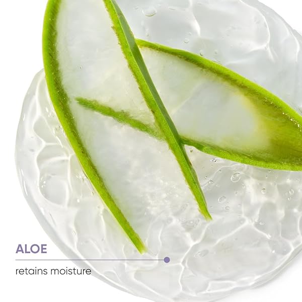 BIOLAGE HYDRA SOURCE DAILY LEAVE-IN CREAM – FOR FINE TO MEDIUM HAIR, SMOOTHS DRY, FRIZZY HAIR & PREVENTS BREAKAGE, PARABEN-FREE, 8.5 FL OZ