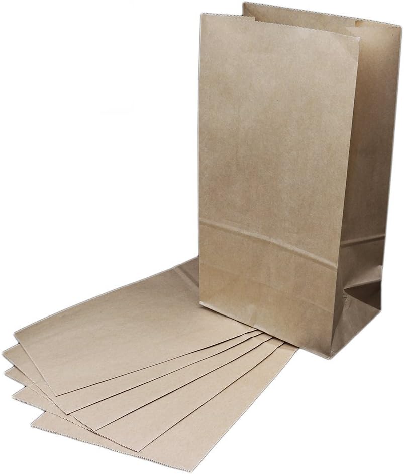 The Young® 50pcs Large Brown Kraft Paper Gift Bags Brown Paper Bags (Large 50)