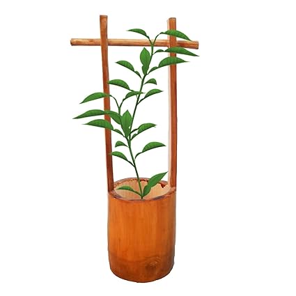 Sazao Bamboo Well Planter for Living Room,Indoor Plants