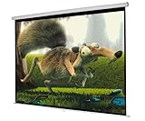 Fashion New 119" Manual Pull Down Projector Screen