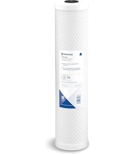 Amazon.com: Hydronix SMCB-4520 NSF Coconut Carbon Block Cyst