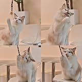 ACNCN 22 Pcs Cat Toys Set Interactive Indoor Kitten Toys Rainbow view 3