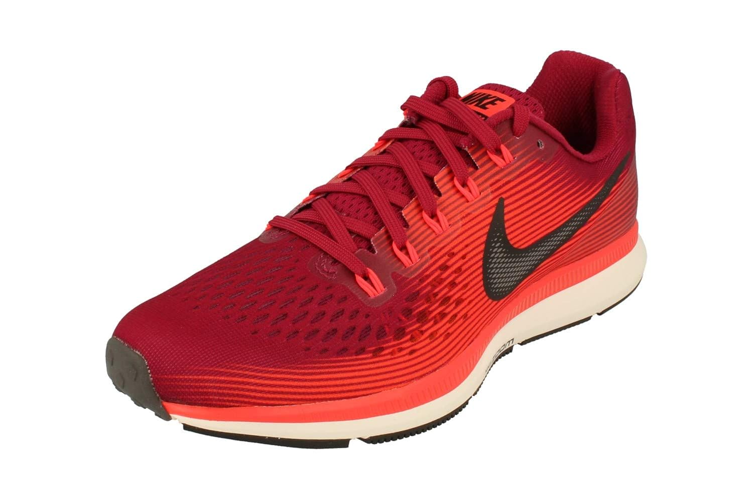 nike pegasus 43