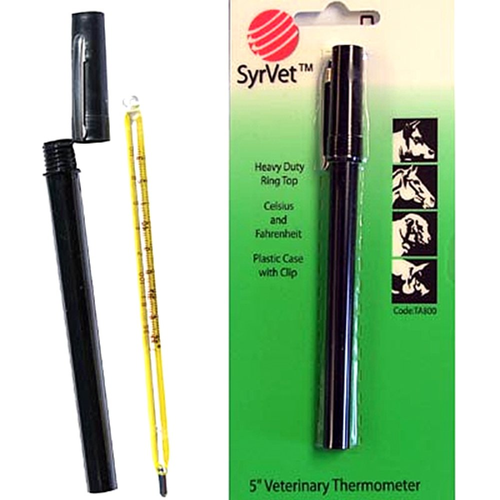 LIVESTOCK THERMOMETER 5" Equestrian Equipment Sports