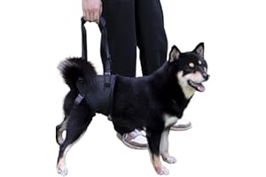 ZDBFU Sling for Dogs with Injuries and Stifle Weakness - Stifle Support Device for Recovery and Disability (Black, S)