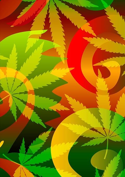 Amazon ポスター ウォールステッカー シール式ステッカー 飾り 127 L版 写真 フォト 壁 インテリア おしゃれ 剥がせる Wall Sticker Poster レゲエ 植物 カラフル ウォールステッカー オンライン通販