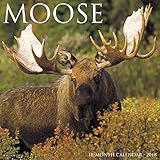 Moose 2018 Wall Calendar by