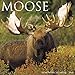 Moose 2018 Wall Calendar by