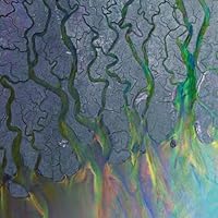 Alt-J Ablum Cover