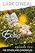 Echo (The OtherLand Chronicles Book 2)