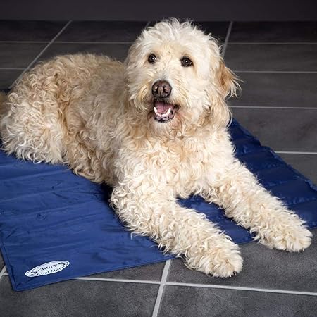 Amazon Com Scruffs 30 X 24 5 Cooling Pet Mat Medium Blue Pet Supplies
