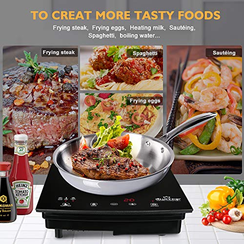 Duxtop 8310 1800W Portable Induction Cooktop Countertop Burner, Black