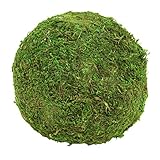 Koyal Wholesale 6-Pack Green Moss Balls, 8-Inch