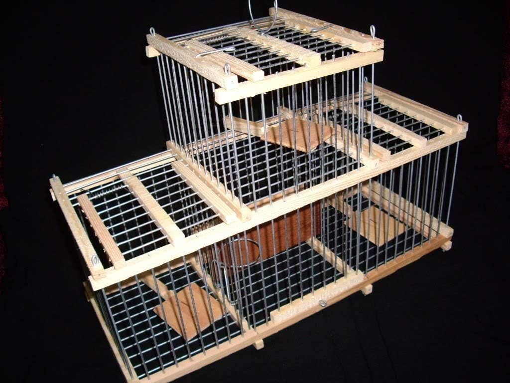 Amazon Com Trap Cage With 3 Trap For Birds Bird Cage Pet Supplies