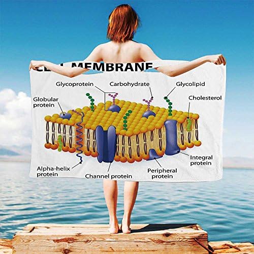 iPrint Educational Quick Dry Plush Microfiber (Towel+Square Scarf+Bath Towel) Detailed Diagram of Membrane Cell Structure Types of Protein Molecules Decorative and Adapt to Any Place