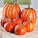 Factory Direct Craft Artificial Pumpkins for Crafts-(7 Pieces) in Classic Orange Colors Pumpkins and Gourds Come in Assorted Sizes for Autumn and Fall Halloween Displays and Decoration