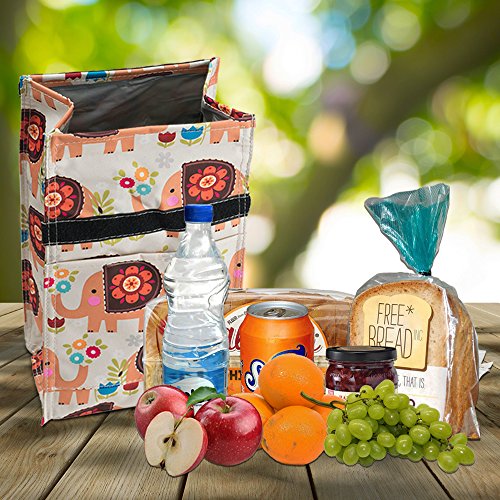 waybags Insulated Reusable Lunch Bag with Roll Top Velcro Closure and