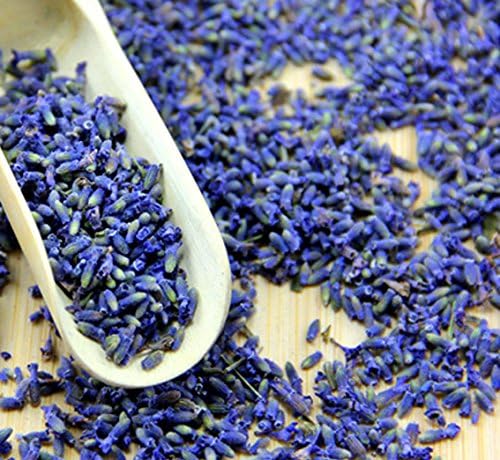 French Lavender Flower Buds -2 Oz -Ultra Blue Grade