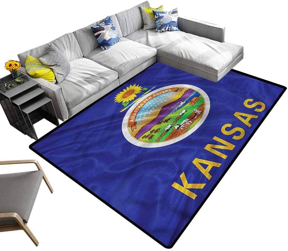 American, Indoor/Outdoor Rug State Flag Kansas Farming Modern Abstract Colorful Area Rug for Hardwood Floors, 3'x 5'