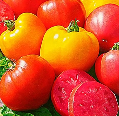 Ochsenherz-Tomate - Tomate Cuor di Bue Mix - 10 Samen