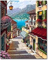 Kaieteur Paint By Number Kit 16x20 Beginner DIY Canvas with Brushes