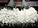 hilingo 50 Pcs Single Artificial Fake Wisteria Vine Ratta Silk Flower for Garden and Home Decor White