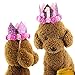 2 Pcs Adorable Cute Crown Shaped Cat Dog Pet 1 Year Birthday Headband and Pink Star Hair Head Bands Accessories for Dogs Cats Pets (Rose Red)