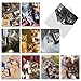The Best Card Company - 10 Adorable Blank Cat Cards (4 x 5.12 Inch) - Cute Pet Kittens, Assorted Bulk Notecard Set - Cats Selfie M4953OCB-B1x10-NB