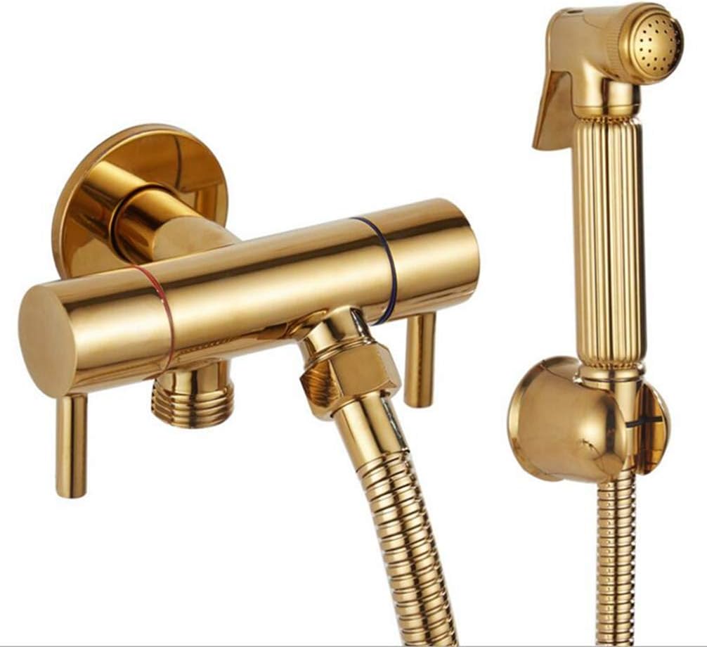 FZHLR Double Use Bathroom Bidet Faucet Toilet Bidet Shower Set Portable Bidet Spray Abs Gold Shower Holder & 1.5 M Hose Hand Held
