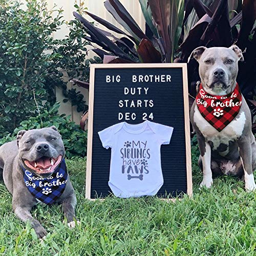JPB 2 Pack Sooner to be Big Brother Dog Bandana,Pet Baby Announcement