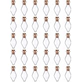 HARFINGTON 30 Pcs Name on Rice Glass Vial Pendant 14mm Width Mini Glass Bottles, for Necklace Wish Bottle DIY Pendant Craft Souvenirs