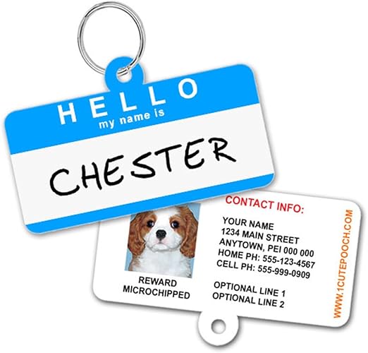 amazon dog tags for pets