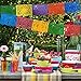 Mexican Decoration Papel Picado Plastic Banner Colorful Tissue Paper Coco Movie –Fiesta Party Birthday Family Celebrations- 64 Feet Includes 4 Large Banners (16 Feet Long 10 Panels each)- Handmade
