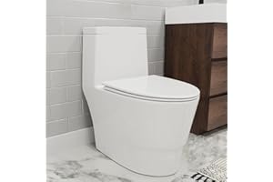GIVINGTREE Dual Flush Elongated Standard One Piece Toilet with Comfortable Seat Height, Powerful & Quiet Dual Flush Modern Toilet, 12'' Rough-In, Glossy White,6622
