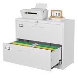 Letaya 2 Drawer Metal Filing Organization Office Cabinets with Lock,Lateral File Cabinets for Home Office Hanging Files Letter/Legal/F4/A4 Size (2 Drawer-White)