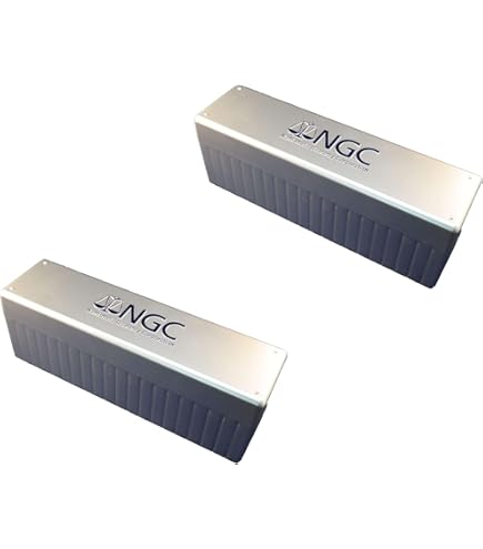 Amazon.com: NGC Plastic Storage Box for 20 Slab Coin Holders Four