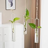 AQRICHFOX 3 Pieces Hanging Plant Glass Test Tubes Hydroponic Vase Planters Wall-Mounted Terrarium Container for Indoor Outdoor Home Decoration (White)