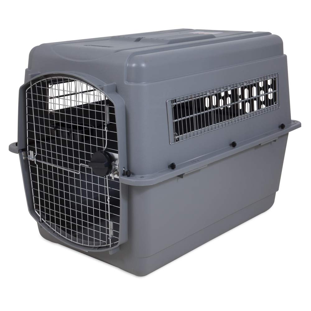 Petmate Sky Kennel for Pets from 70 to 90-Pound, Light Gray : Pet Carrier Extra Large