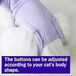 Cat Recovery Suit for Abdominal Wounds and Skin