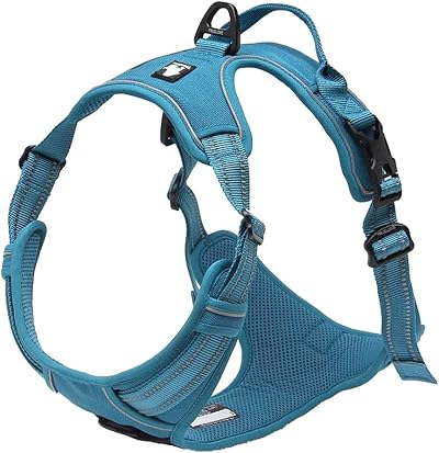 Truelove TLH5651 No-Pull Dog Harness Reflective Stitching Blue M