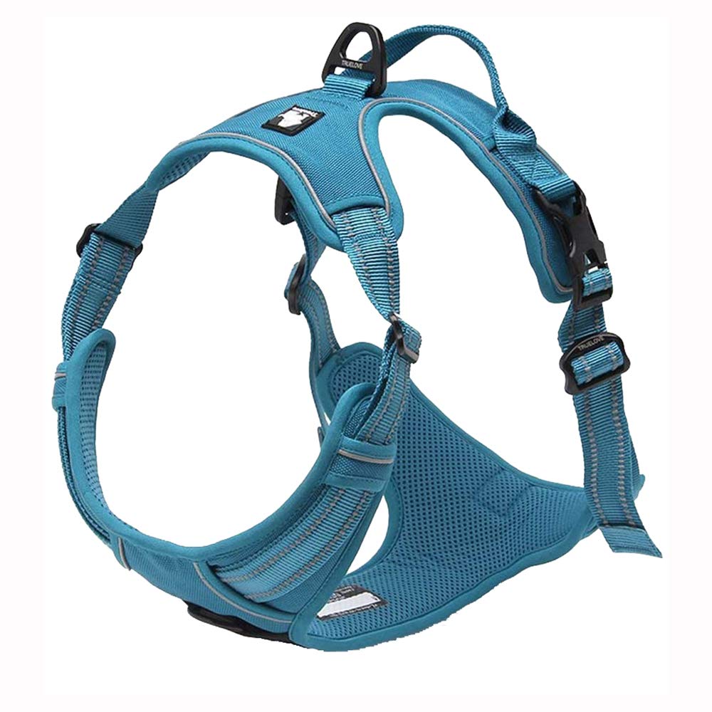 TrueLove Dog Harness TLH5651 No-pull Reflective Stitching Ensure Night Visibility, Outdoor Adventure Big Dog Harness Perfect Match Puppy Vest (Blue,XS) โ image 1