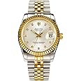 HOLUNS Mens Full Gold Watch Automatic Mechanical Gilded Steel Self-Wind Sapphire Glass Dress Waterproof Watch