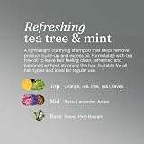 Miniml Natural Hair Shampoo Eco Friendly 5L Refill Tea Tree Mint Cruelty Free view 6