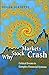 Why Stock Markets Crash: Critical Events in Complex Financial Systems